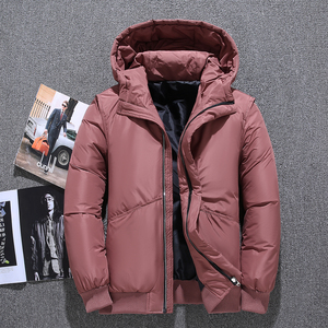 2020电商B247冬季新款羽绒服连帽加厚男士韩版保暖短款7804-P90图片