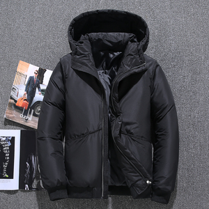 2020电商B247冬季新款羽绒服连帽加厚男士韩版保暖短款7804-P90图片