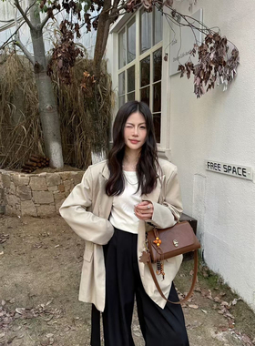 2025新款时尚百搭大容量职业风小方包高级感小众设计网红同款手提