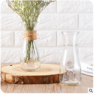 饰干花瓶 简约创意花瓶绿萝栽培摆设欧式 透明玻璃瓶客厅茶几插花装