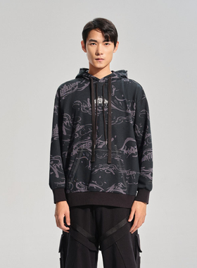 LI-NING/李宁男女同款运动时尚宽松舒适休闲百搭套头卫衣AWDSI43-