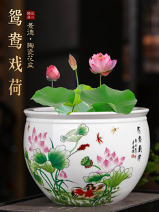 景德镇陶瓷器粉彩花盆大号水培碗莲睡莲铜钱草绿萝盆栽庭院金鱼缸