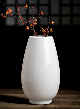 景德镇陶瓷器纯白色花瓶富贵竹高级感大口径干花圆形客厅摆件插花