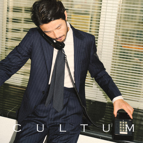 70%澳洲羊毛半麻衬西服套装条纹