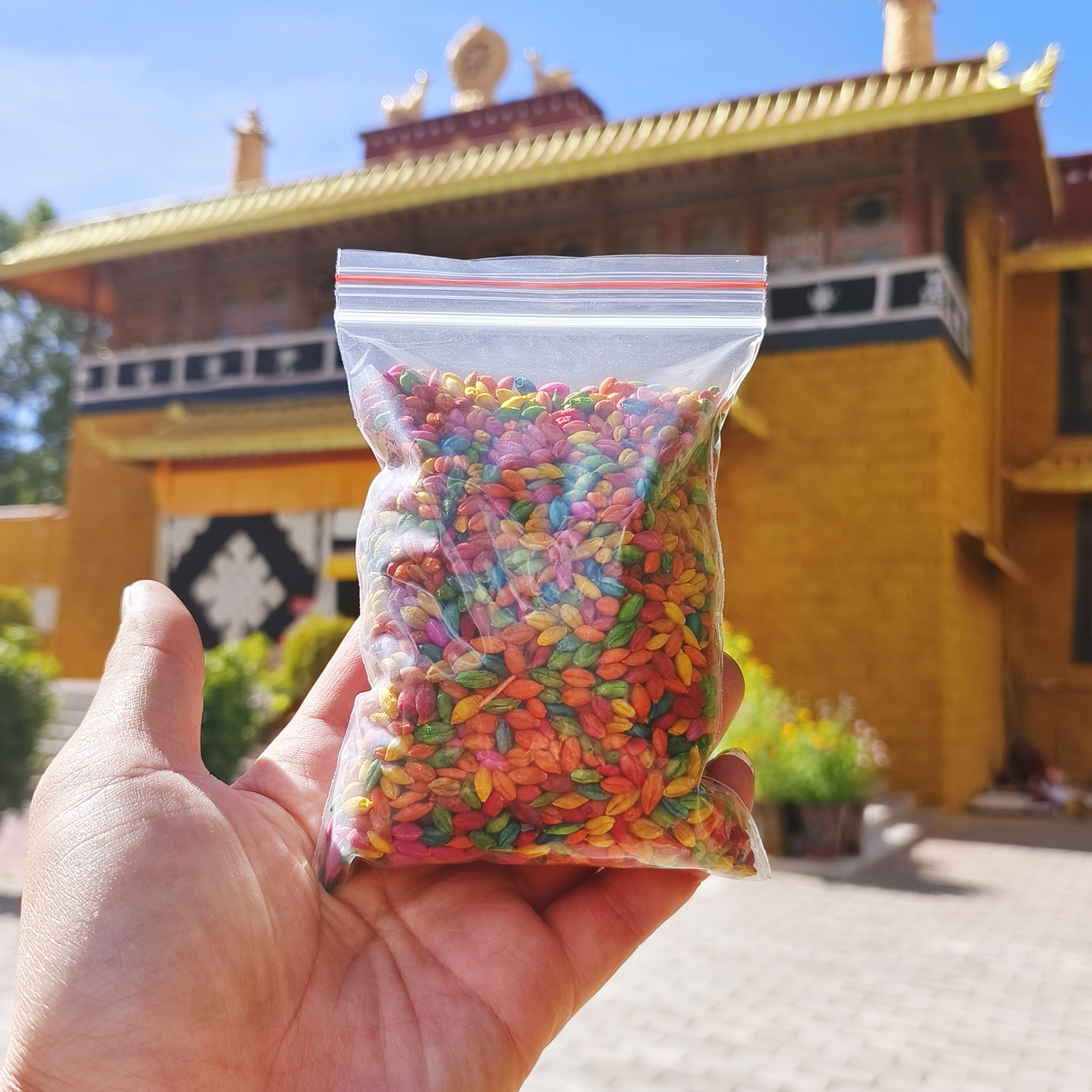 西藏藏传 精品五彩青稞 法米半斤装