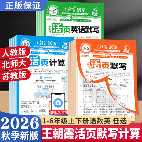 王朝霞少而精活页默写活页计算