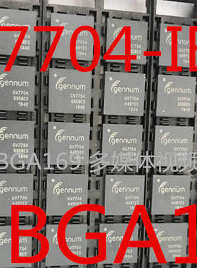 GV7704-IBE3 BGA169 多媒体视频IC 高清视频芯片