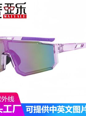 新款户外运动骑行眼镜欧美日夜