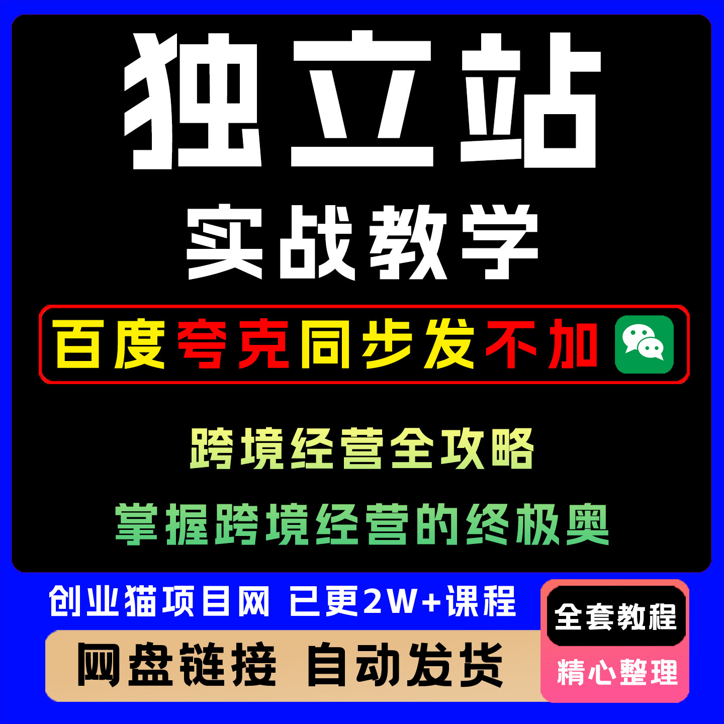 独立站实战教学 跨境经营全攻略 告别流量依赖 掌握终极奥秘图片