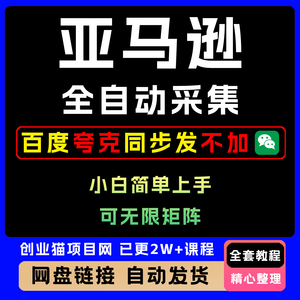 亚马逊全自动采集玩法 单窗口一天10+ 可批量操作，日入500+
