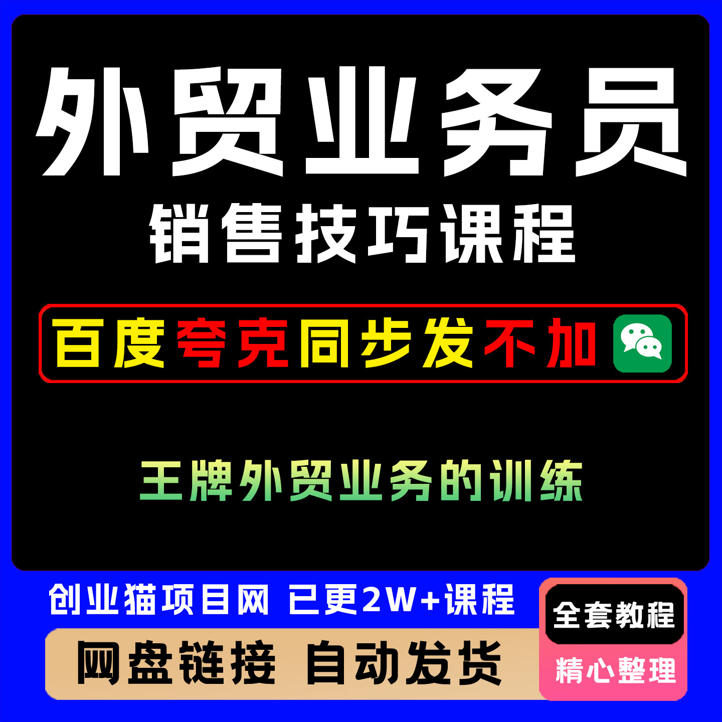 2025外贸业务员销售技巧王牌外贸业务训练全套视频精讲教学课程