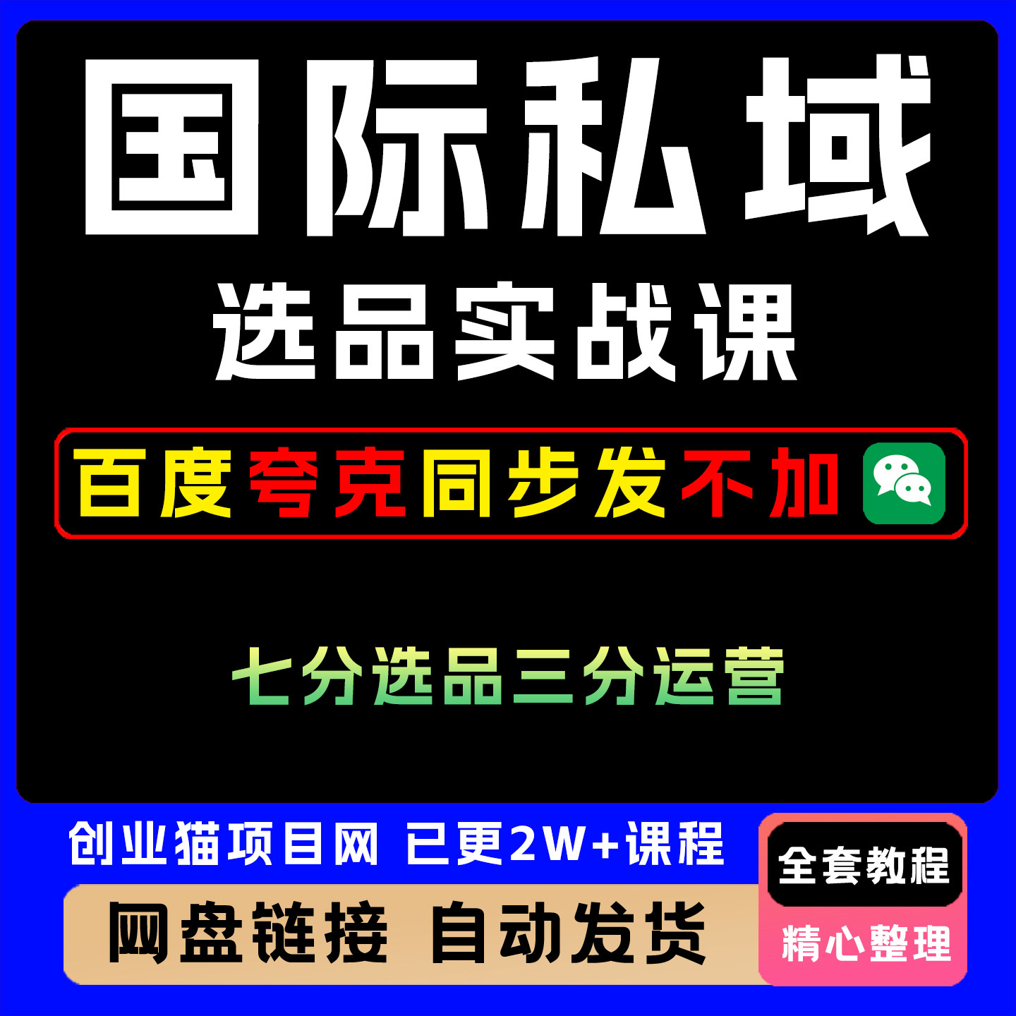 2025国际私域选品实战课蓝海市场由你选择视频精讲学习教学课程
