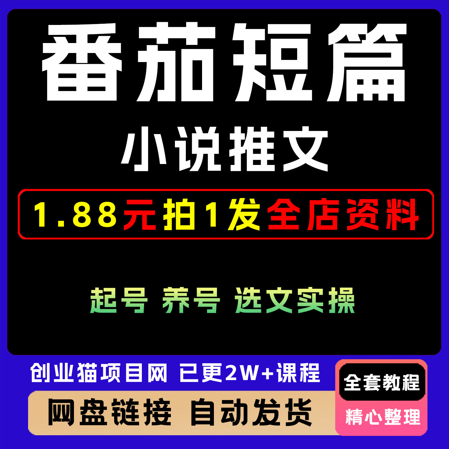 2025番茄短篇小说推文快速制作发布视频方法全套精讲教学课程项目