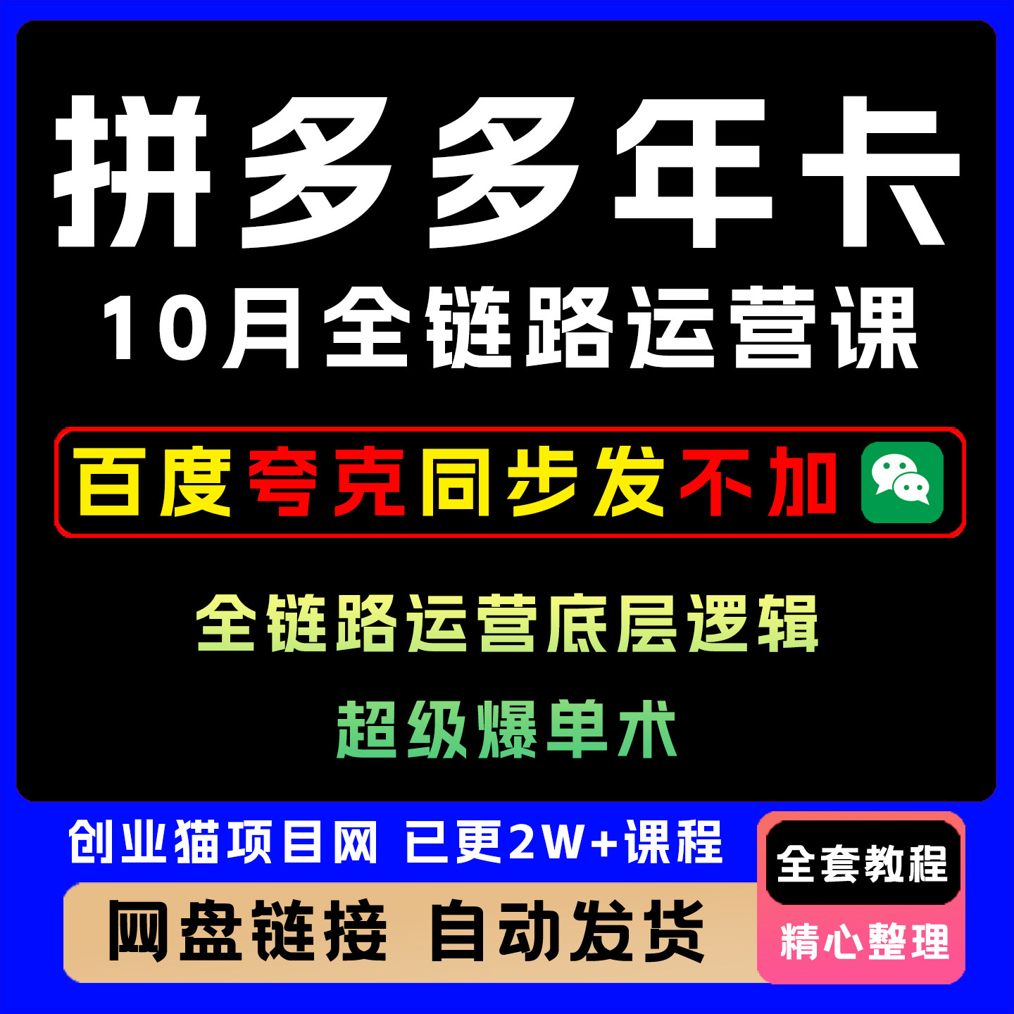 拼多多年卡10月全链路运营底层逻辑全套视频精讲学习教学课程