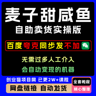 2025年麦子甜咸鱼自助卖货实操版全套精讲学习资料课件教学课程
