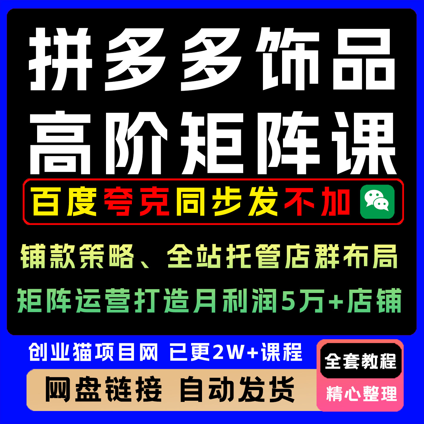 拼多多全店托管矩阵课，高效运营与盈利动销技巧，提升店铺效益