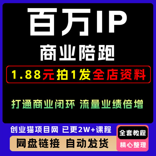 2025年百万IP商业陪跑打通闭环业绩倍增全套视频精讲教学课程项目