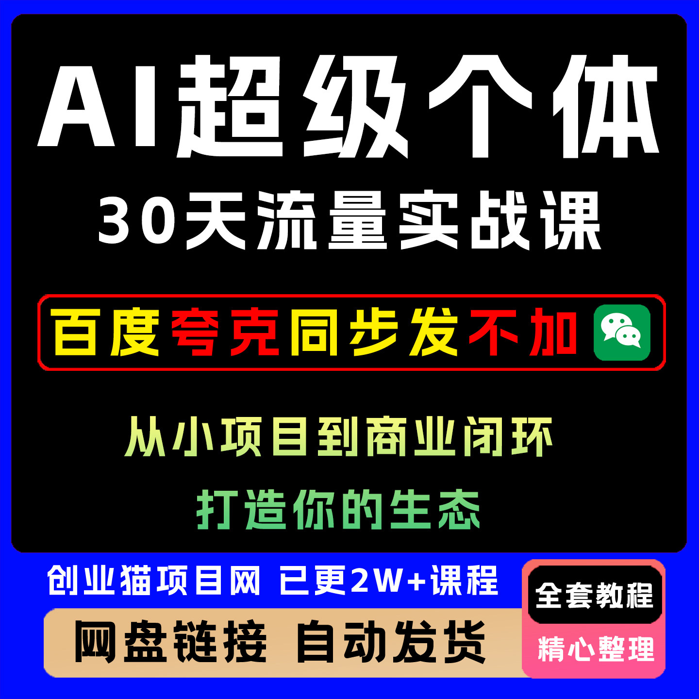 AI超级个体30天流量实战课,从小项目到商业闭环,打造你的生态