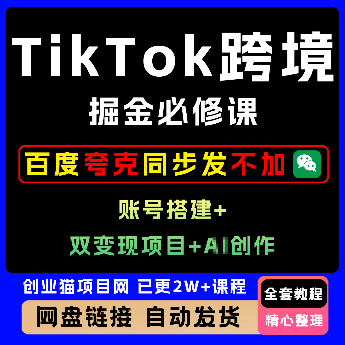 Tiok跨境掘金必修课账号搭建双变现项目AI创作可矩阵复制