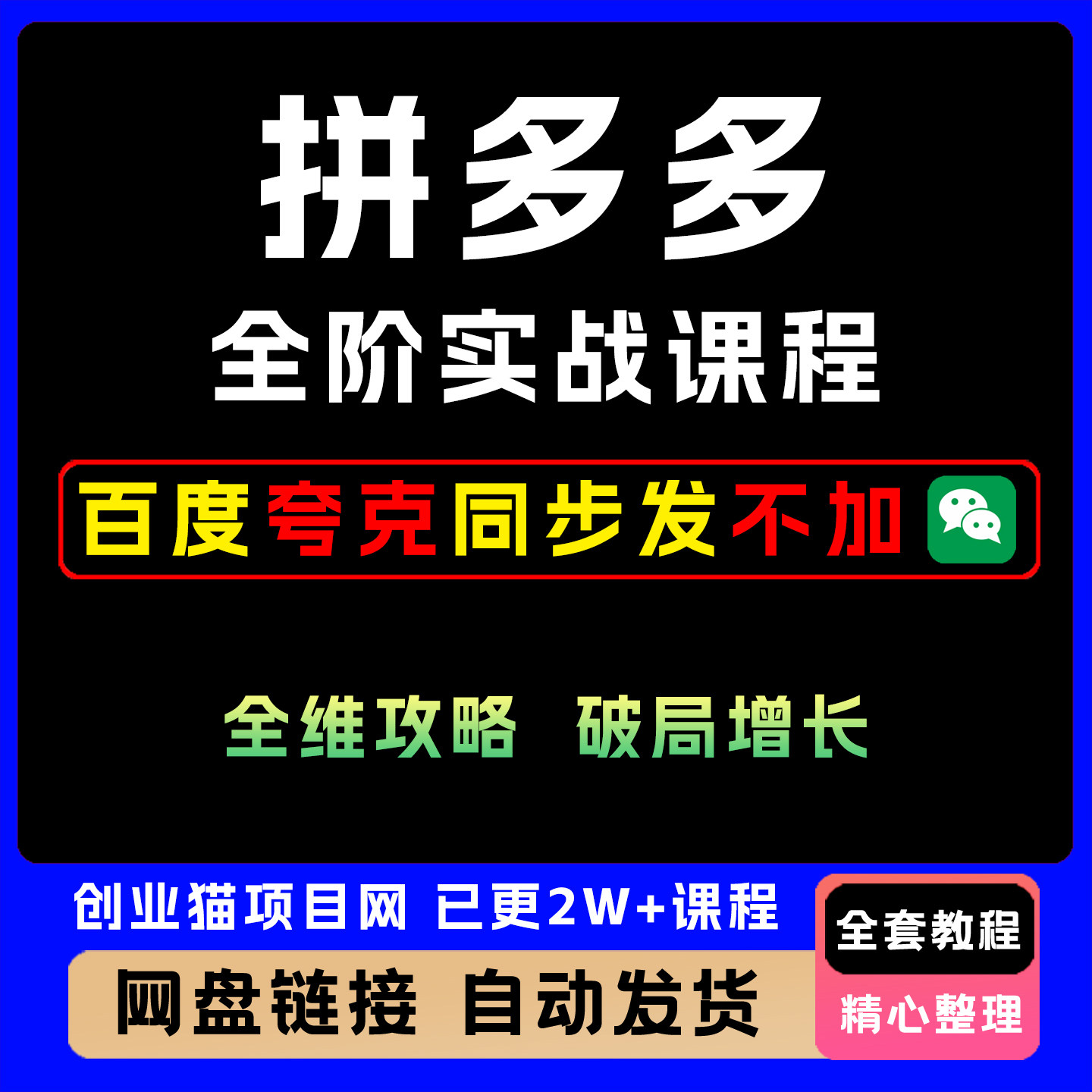 2025拼多多全阶实战课程实战玩法9月更新教程变现黑科技视频课程