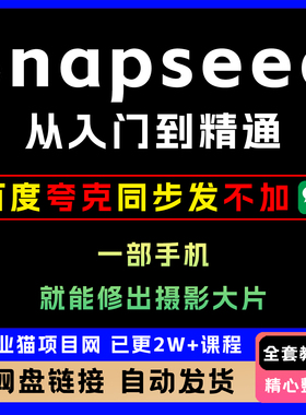Snapseed从入门到精通 一部手机修出大片 全套教程零基础快速上手