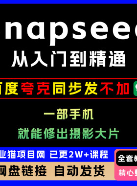 Snapseed从入门到精通 一部手机修出大片 全套教程零基础快速上手
