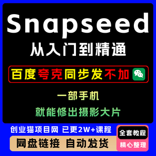 Snapseed从入门到精通 一部手机修出大片 全套教程零基础快速上手