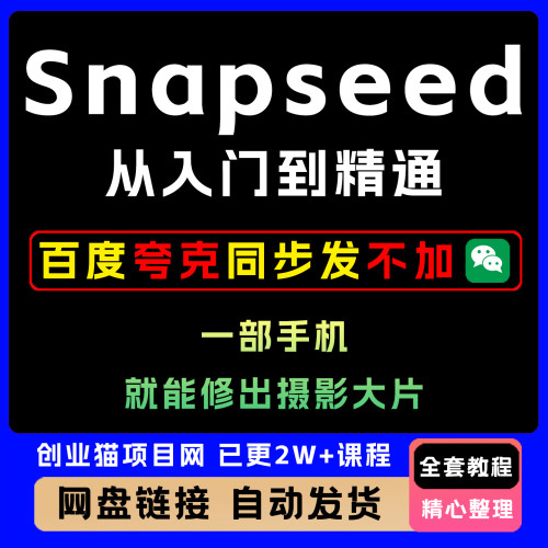 Snapseed从入门到精通 一部手机修出大片 全套教程零基础快速上手