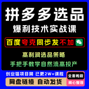 2025拼多多选品暴利技术实战课高利润选品策略限时低价标签秘诀