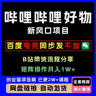 2025哔哩哔哩好物 B站带货流程分享新风口项目 矩阵操作月入1W+