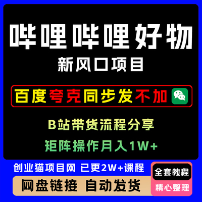 2025哔哩哔哩好物 B站带货流程分享新风口项目 矩阵操作月入1W+