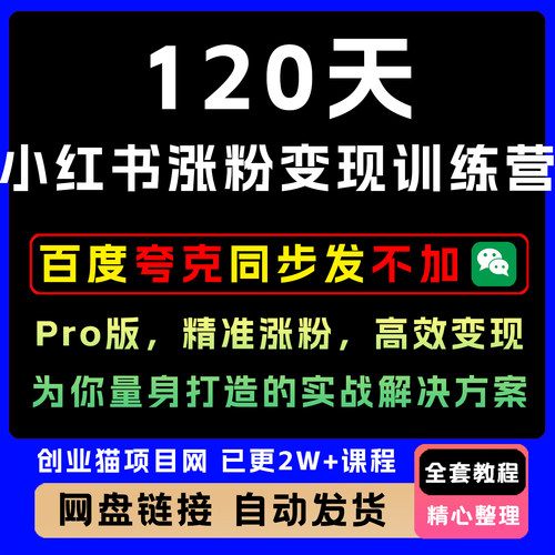 120天xhs多人变现训练营Pro版，​精准上人，高效变现​营销教程