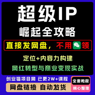 超级IP崛起全攻略,定位+内容力构建,网红转型与商业变现实战