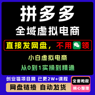 拼多多全域虚拟电商从零到1实操课小白虚拟电商从0到1实操到精通