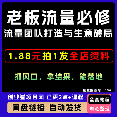 流量团队打造与生意破局，老板流量必修课，抓风口，拿结果
