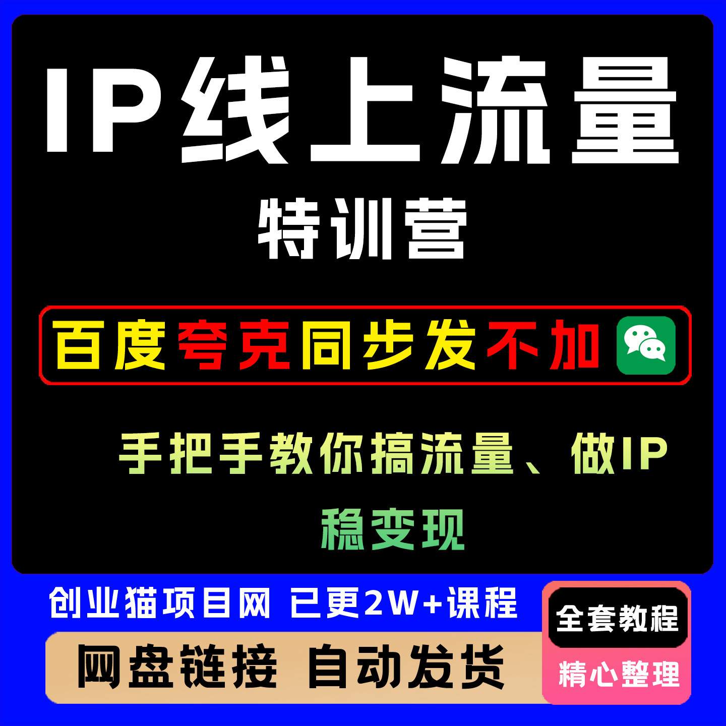 IP线上流量特训营,手把手教你搞流量、做IP、稳变现培训课程