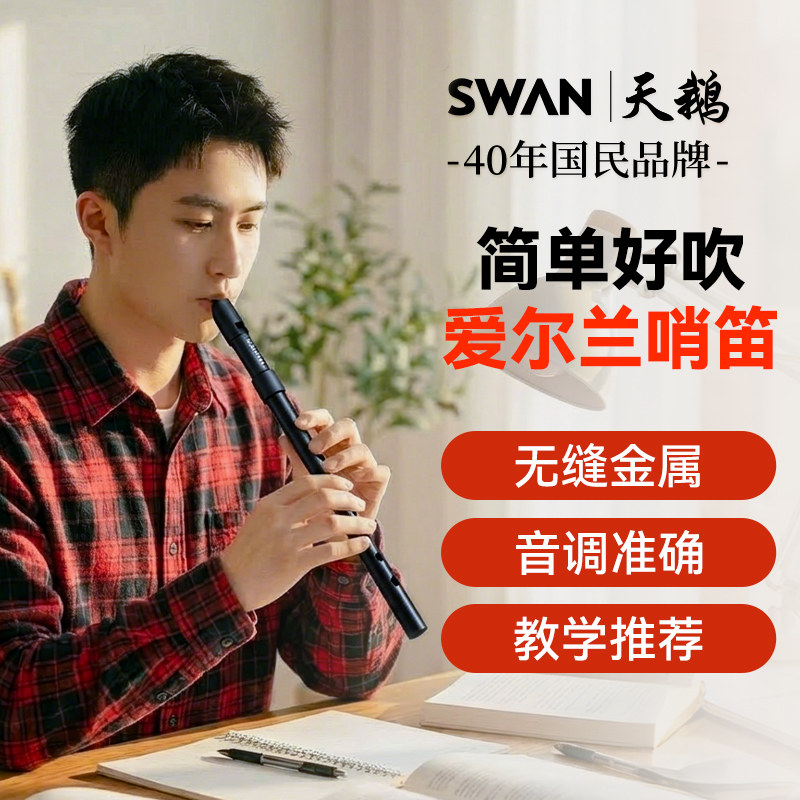 天鹅金属爱尔兰哨笛d调c调专业演奏级六孔竖笛6孔初学者树脂吹嘴