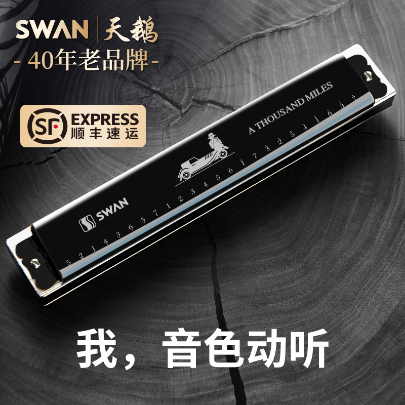 【专业演奏】天鹅24孔口琴