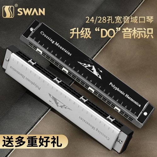 天鹅24孔28孔复音C调口琴初学
