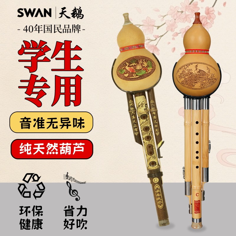 十大名牌天鹅专业演奏葫芦丝图片