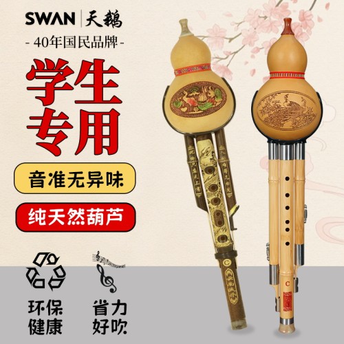 十大名牌天鹅专业演奏葫芦丝