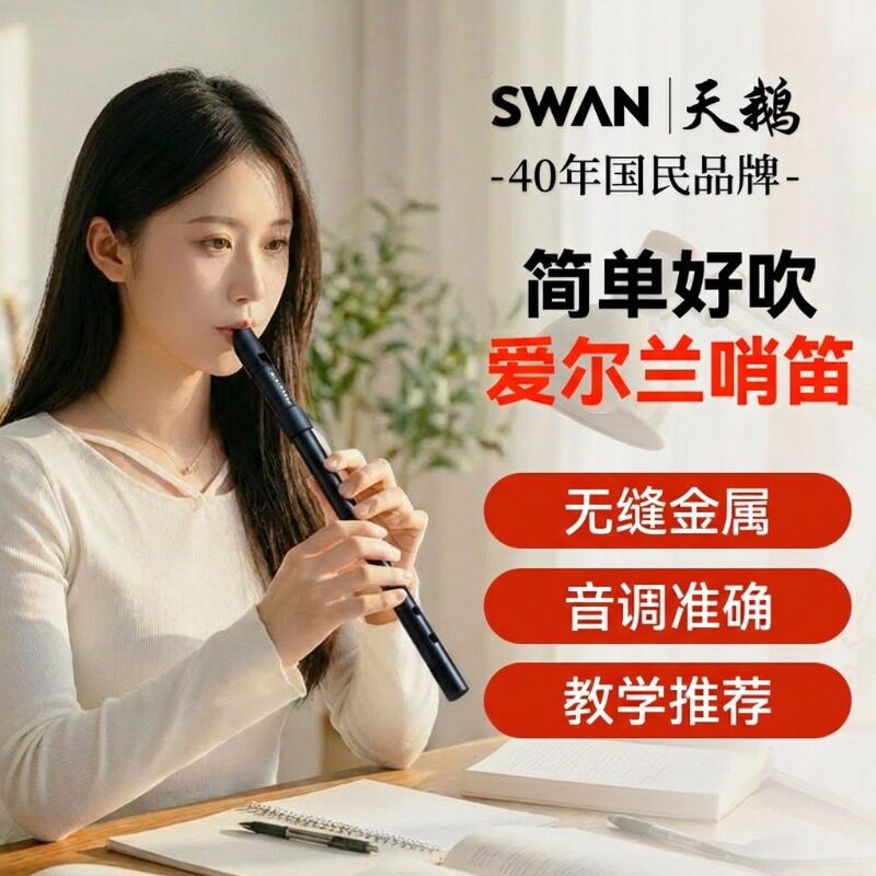 天鹅金属爱尔兰哨笛d调c调专业演奏级六孔竖笛6初学者小学生乐器