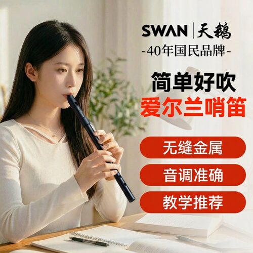 天鹅金属款爱尔兰哨笛d调c调