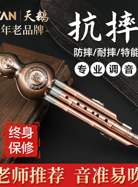 天鹅葫芦丝乐器小学生专用C调a降b调儿童七孔成人初学者旗舰店H62