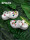 Crocs card| женские летние босоножки на высоком каблуке; пляжная обувь; женская обувь на толстой подошве с дырочками; женская обувь/206750 mini 2