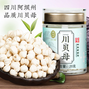 雷允上四川阿坝州川贝母20克无熏搭配冰糖雪梨旗舰店可打川贝粉