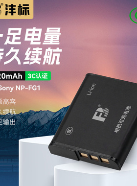 沣标FG1适用于索尼NPBG1电池T100 T20 H7 H9 H20 H50 H55 HX5 HX7 HX30 HX10 HX9 H70 WX10 N2相机充电器座充