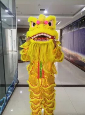 新款成人儿童单人小南狮醒狮舞狮