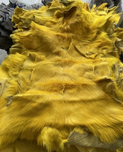 4尺 100 南非kudu皮毛一体 约40 三色可选 张 60cm 跳羚羊皮