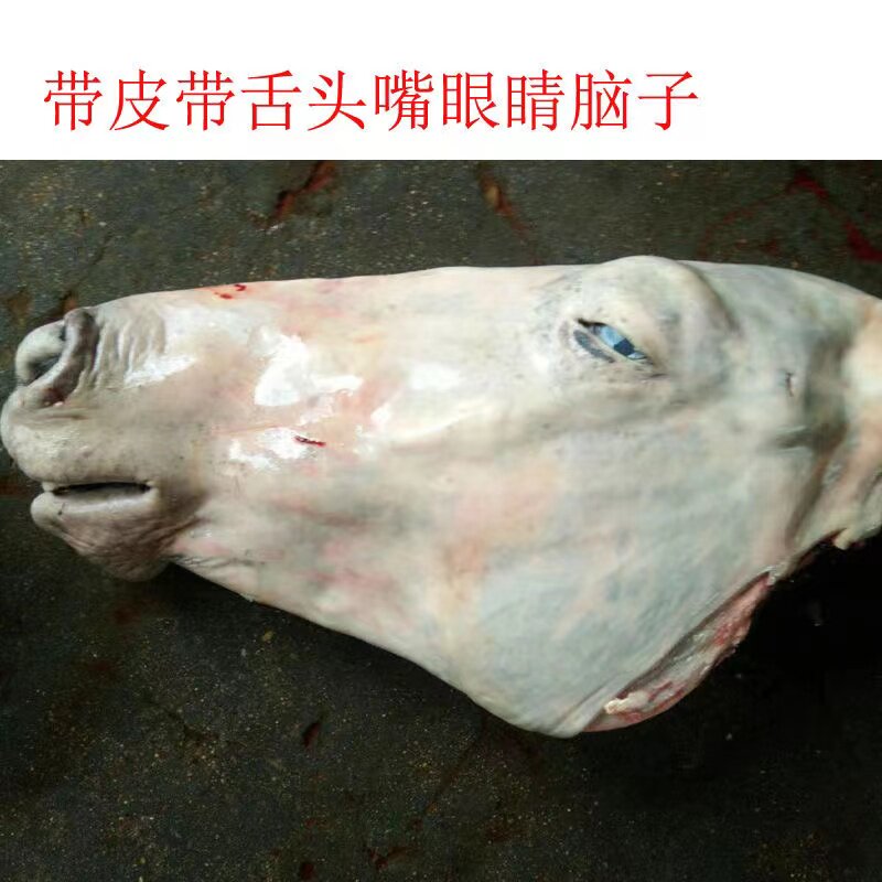 新鲜现杀马头生鲜正宗马头带舌头骨脑子马头脸肉现宰酒店专供驴头